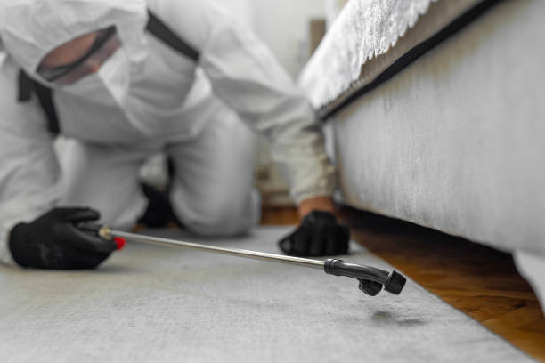 Professional Bed Bug Control technician working in Casselton, ND